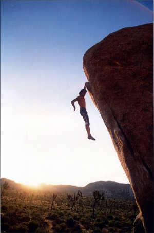 Alain Robert