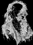 Darwin Awards logo