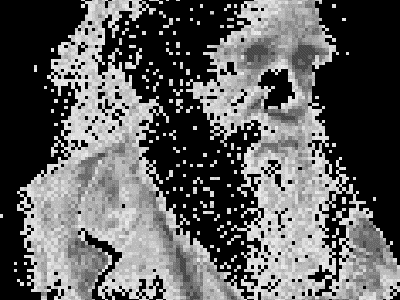 Premiando la Estupidez Humana: Los Darwin Awards