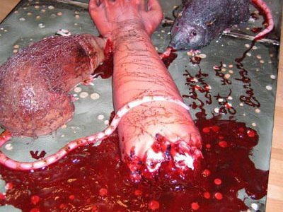 La Mejor Torta de Cumpleaños…