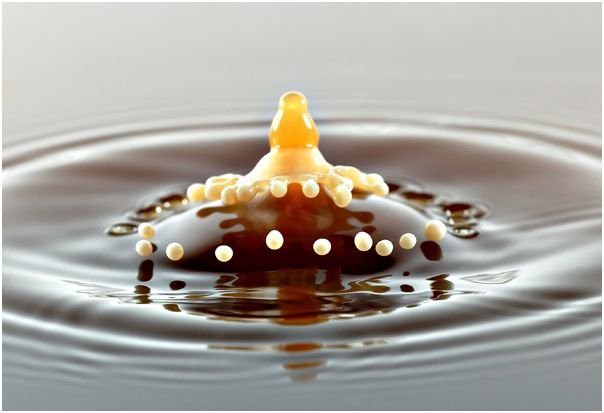 gota-01.jpg
