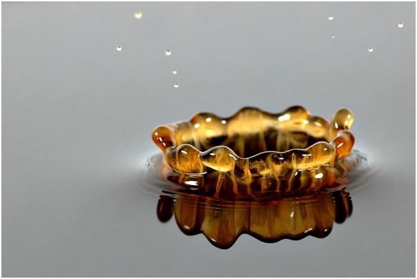 gota-02.jpg