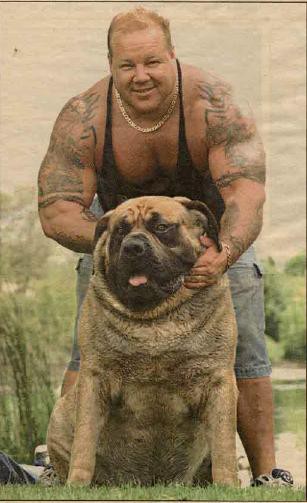 Hércules: El Perro más grande del Mundo