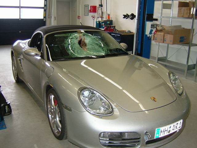 porsche-car-hit-bird-1.jpg
