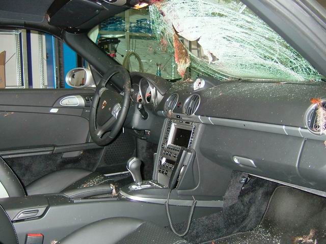 porsche-car-hit-bird-2.jpg
