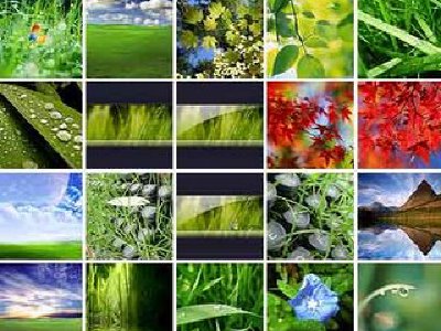 Descarga de Wallpapers de Windows Vista en Windows XP