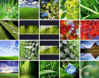 Wallpapers Windows Vista
