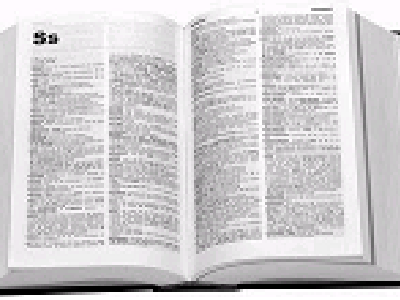 Diccionario de MarlexSystems