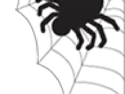 Finaliza la Semana 01