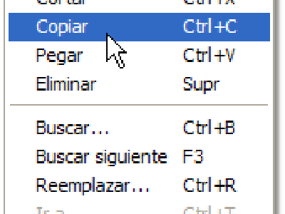 Web 2.0, los Plagios y Copias descaradas