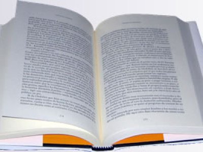 Los Alumnos de habla Hispana que tienen Acceso a Internet sólo 