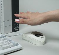 mouse.jpg