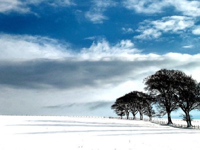 Flickr suma a Picnik a sus filas