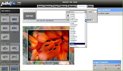 Pikifx, el Photoshop en línea para editar imágenes