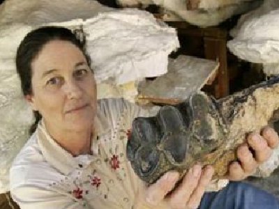 Te interesaría comprar… ¿El esqueleto de un Mastodonte?