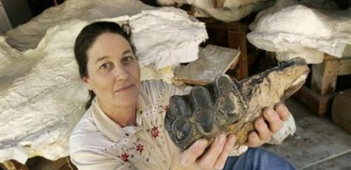 Venden esqueleto de mastodonte en eBay