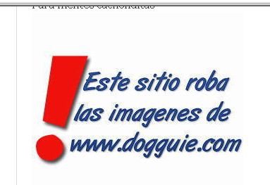 Robar imágenes de Sitios