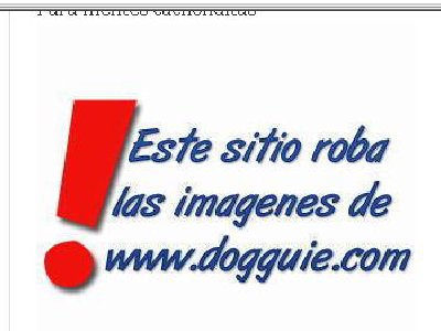 El WTF Blogueríl del día