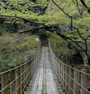 impresionante imagen puente zona beta