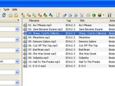 Edita los Tags ID3 de tus canciones con MP3Tag