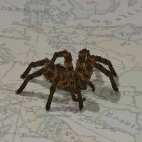 araña digital jugar