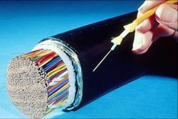 fibra optica japon 1 gbps