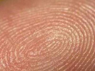 Brasil y su forma de votar mediante la huella dactilar