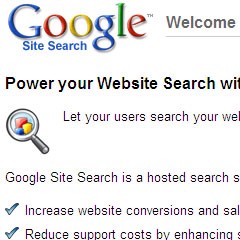 google site search