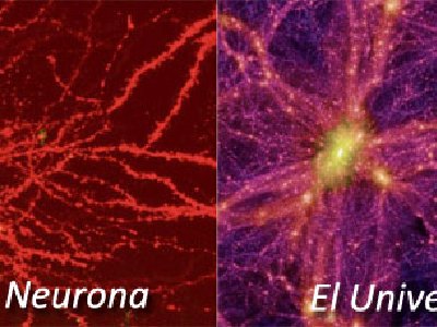 Impresionante similitud entre una neurona y el universo