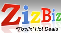 zizbiz logo estafa