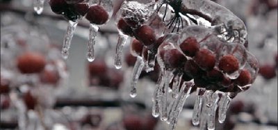 Impresionantes Fotografías luego de una tormenta de Hielo