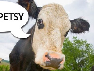 Vacas con nombre dan más leche