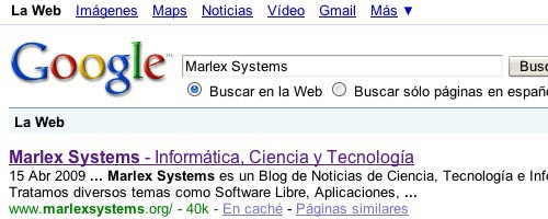 marlex systems busqueda google