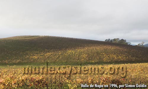 Valle de Napa en 1996, fotografía por Simón Goldin