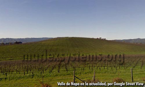 Valle de Napa en la actualidad, fotografía por Google Street View
