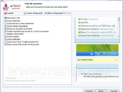 Parche para quitar publicidad en MSN 2009