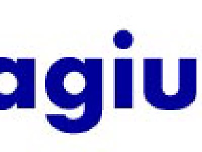 Saber si alguien ha copiado los contenidos de tu blog con Plagium