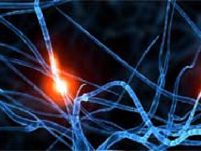 Impresionante: 4 personas con muy buena Memoria