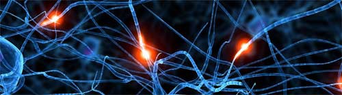 Neuronas
