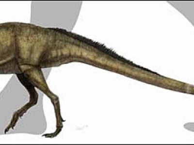 Descubren a la especie más pequeña de los dinosaurios
