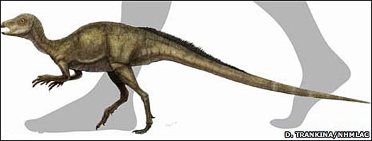 dinosaurio pequeño