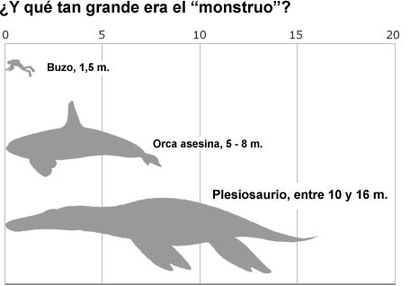 Gráfico del pliosaurio