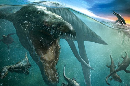 Cráneo de un feroz depredador marino