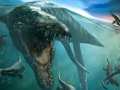 Descubren el cráneo de un feroz depredador marino.