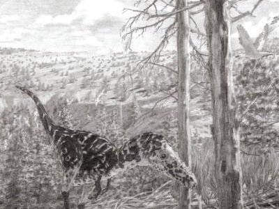 Alioramus Altai, es el nombre del nuevo integrante de la familia Rex