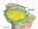 Amazona