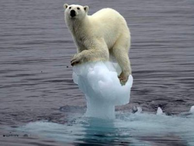 Dramáticas proyecciones sobre el Calentamiento Global