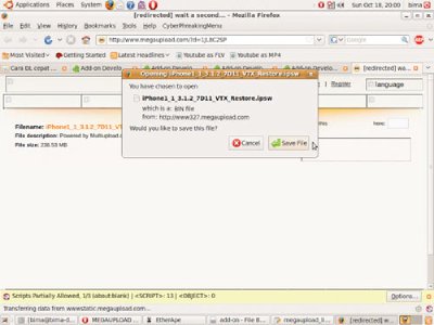 Desactivar la espera de Megaupload