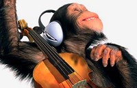 musica-primates