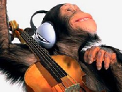 La búsqueda de los orígenes del 